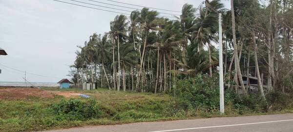 ประกาศฟรี! ซื้อ-ขาย-เช่า คอนโด บ้าน ทาวน์โฮม ที่ดิน และพื้นที่เชิงพาณิชย์ทั่วประเทศไทย ทุกทำเล ทุกงบประมาณ ไม่มีค่าใช้จ่าย ลงง่าย ขายไว เข้าถึงผู้ซื้อโดยตรง 3 289029pic2.jpg