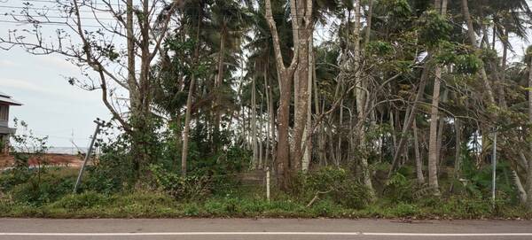 ประกาศฟรี! ซื้อ-ขาย-เช่า คอนโด บ้าน ทาวน์โฮม ที่ดิน และพื้นที่เชิงพาณิชย์ทั่วประเทศไทย ทุกทำเล ทุกงบประมาณ ไม่มีค่าใช้จ่าย ลงง่าย ขายไว เข้าถึงผู้ซื้อโดยตรง 4 289029pic3.jpg