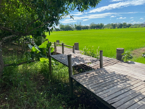 ประกาศฟรี! ซื้อ-ขาย-เช่า คอนโด บ้าน ทาวน์โฮม ที่ดิน และพื้นที่เชิงพาณิชย์ทั่วประเทศไทย ทุกทำเล ทุกงบประมาณ ไม่มีค่าใช้จ่าย ลงง่าย ขายไว เข้าถึงผู้ซื้อโดยตรง 3 466785pic2.jpg