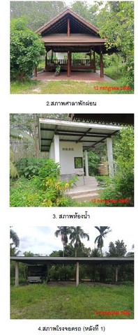 ประกาศฟรี! ซื้อ-ขาย-เช่า คอนโด บ้าน ทาวน์โฮม ที่ดิน และพื้นที่เชิงพาณิชย์ทั่วประเทศไทย ทุกทำเล ทุกงบประมาณ ไม่มีค่าใช้จ่าย ลงง่าย ขายไว เข้าถึงผู้ซื้อโดยตรง 5 192632pic4.jpg