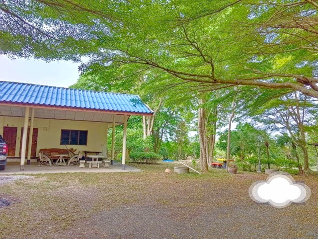 ประกาศฟรี! ซื้อ-ขาย-เช่า คอนโด บ้าน ทาวน์โฮม ที่ดิน และพื้นที่เชิงพาณิชย์ทั่วประเทศไทย ทุกทำเล ทุกงบประมาณ ไม่มีค่าใช้จ่าย ลงง่าย ขายไว เข้าถึงผู้ซื้อโดยตรง 4 198905pic3.jpg