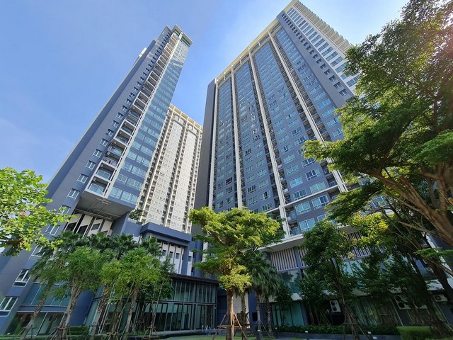 ประกาศฟรี! ซื้อ-ขาย-เช่า คอนโด บ้าน ทาวน์โฮม ที่ดิน และพื้นที่เชิงพาณิชย์ทั่วประเทศไทย ทุกทำเล ทุกงบประมาณ ไม่มีค่าใช้จ่าย ลงง่าย ขายไว เข้าถึงผู้ซื้อโดยตรง 3 191829pic2.jpg