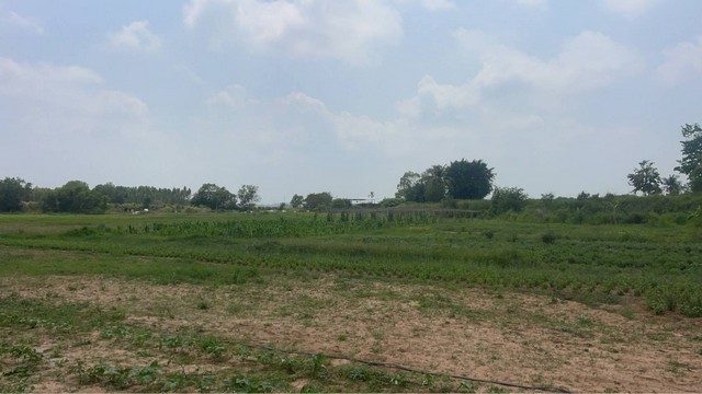 ประกาศฟรี! ซื้อ-ขาย-เช่า คอนโด บ้าน ทาวน์โฮม ที่ดิน และพื้นที่เชิงพาณิชย์ทั่วประเทศไทย ทุกทำเล ทุกงบประมาณ ไม่มีค่าใช้จ่าย ลงง่าย ขายไว เข้าถึงผู้ซื้อโดยตรง 3 289910pic2.jpg