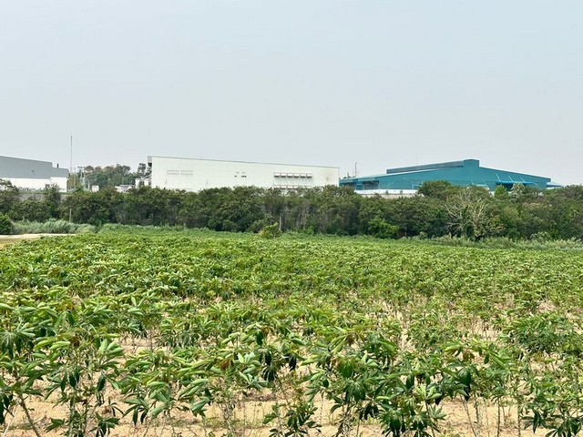 ประกาศฟรี! ซื้อ-ขาย-เช่า คอนโด บ้าน ทาวน์โฮม ที่ดิน และพื้นที่เชิงพาณิชย์ทั่วประเทศไทย ทุกทำเล ทุกงบประมาณ ไม่มีค่าใช้จ่าย ลงง่าย ขายไว เข้าถึงผู้ซื้อโดยตรง 2 289984pic1.jpg