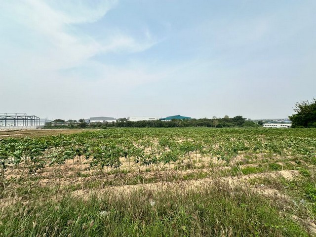 ประกาศฟรี! ซื้อ-ขาย-เช่า คอนโด บ้าน ทาวน์โฮม ที่ดิน และพื้นที่เชิงพาณิชย์ทั่วประเทศไทย ทุกทำเล ทุกงบประมาณ ไม่มีค่าใช้จ่าย ลงง่าย ขายไว เข้าถึงผู้ซื้อโดยตรง 3 289984pic2.jpg