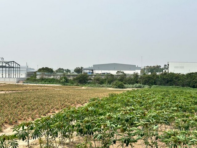 ประกาศฟรี! ซื้อ-ขาย-เช่า คอนโด บ้าน ทาวน์โฮม ที่ดิน และพื้นที่เชิงพาณิชย์ทั่วประเทศไทย ทุกทำเล ทุกงบประมาณ ไม่มีค่าใช้จ่าย ลงง่าย ขายไว เข้าถึงผู้ซื้อโดยตรง 4 289984pic3.jpg