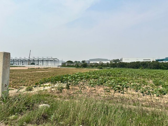 ประกาศฟรี! ซื้อ-ขาย-เช่า คอนโด บ้าน ทาวน์โฮม ที่ดิน และพื้นที่เชิงพาณิชย์ทั่วประเทศไทย ทุกทำเล ทุกงบประมาณ ไม่มีค่าใช้จ่าย ลงง่าย ขายไว เข้าถึงผู้ซื้อโดยตรง 5 289984pic4.jpg