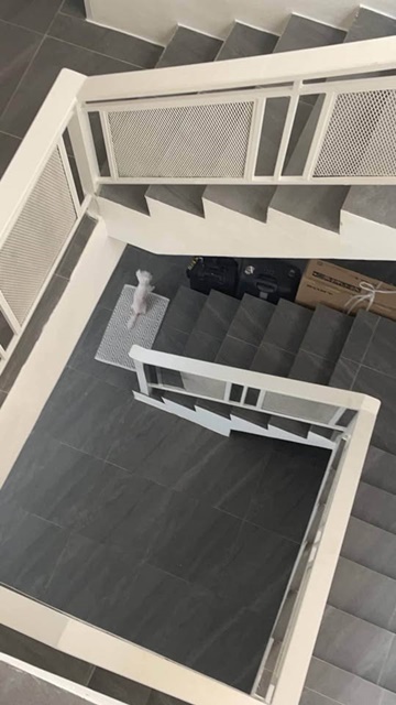 ประกาศฟรี! ซื้อ-ขาย-เช่า คอนโด บ้าน ทาวน์โฮม ที่ดิน และพื้นที่เชิงพาณิชย์ทั่วประเทศไทย ทุกทำเล ทุกงบประมาณ ไม่มีค่าใช้จ่าย ลงง่าย ขายไว เข้าถึงผู้ซื้อโดยตรง 4 198997pic3.jpg