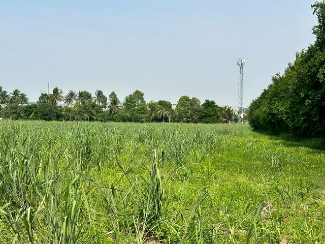 ประกาศฟรี! ซื้อ-ขาย-เช่า คอนโด บ้าน ทาวน์โฮม ที่ดิน และพื้นที่เชิงพาณิชย์ทั่วประเทศไทย ทุกทำเล ทุกงบประมาณ ไม่มีค่าใช้จ่าย ลงง่าย ขายไว เข้าถึงผู้ซื้อโดยตรง 2 290476pic1.jpg