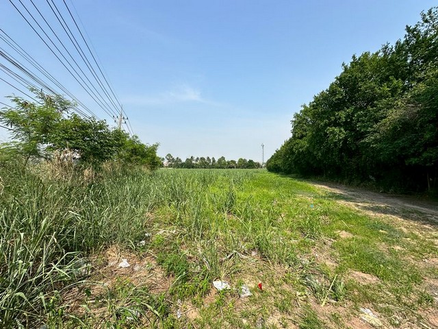 ประกาศฟรี! ซื้อ-ขาย-เช่า คอนโด บ้าน ทาวน์โฮม ที่ดิน และพื้นที่เชิงพาณิชย์ทั่วประเทศไทย ทุกทำเล ทุกงบประมาณ ไม่มีค่าใช้จ่าย ลงง่าย ขายไว เข้าถึงผู้ซื้อโดยตรง 3 290476pic2.jpg