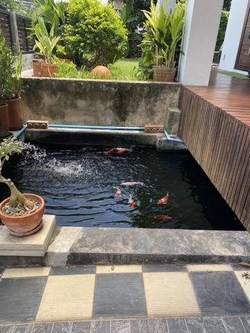 ประกาศฟรี! ซื้อ-ขาย-เช่า คอนโด บ้าน ทาวน์โฮม ที่ดิน และพื้นที่เชิงพาณิชย์ทั่วประเทศไทย ทุกทำเล ทุกงบประมาณ ไม่มีค่าใช้จ่าย ลงง่าย ขายไว เข้าถึงผู้ซื้อโดยตรง 4 491176pic3.jpg