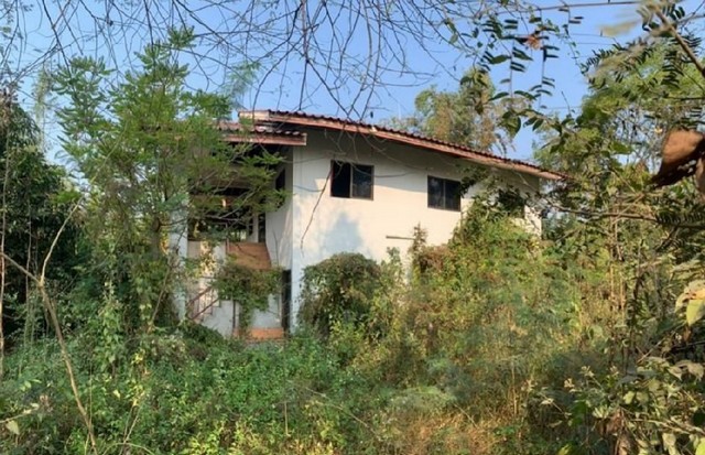 ประกาศฟรี! ซื้อ-ขาย-เช่า คอนโด บ้าน ทาวน์โฮม ที่ดิน และพื้นที่เชิงพาณิชย์ทั่วประเทศไทย ทุกทำเล ทุกงบประมาณ ไม่มีค่าใช้จ่าย ลงง่าย ขายไว เข้าถึงผู้ซื้อโดยตรง 2 199082pic1.jpg