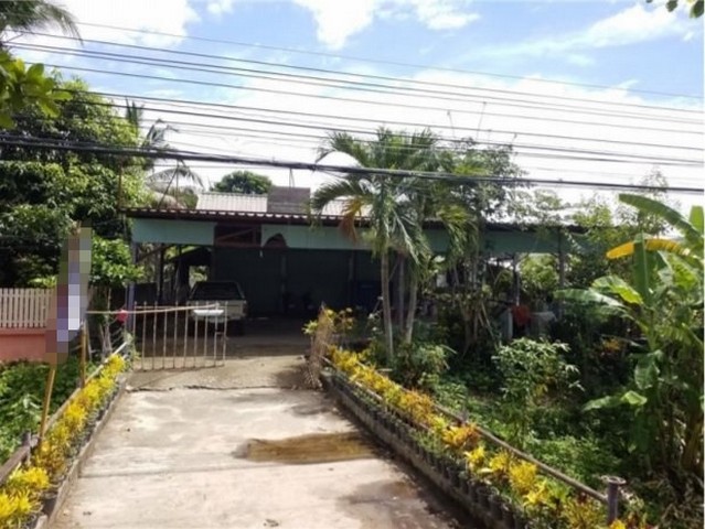 ประกาศฟรี! ซื้อ-ขาย-เช่า คอนโด บ้าน ทาวน์โฮม ที่ดิน และพื้นที่เชิงพาณิชย์ทั่วประเทศไทย ทุกทำเล ทุกงบประมาณ ไม่มีค่าใช้จ่าย ลงง่าย ขายไว เข้าถึงผู้ซื้อโดยตรง 2 199266pic1.jpg