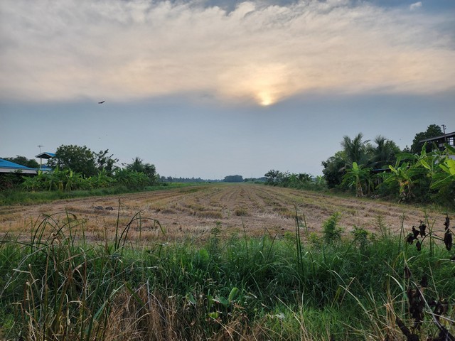 ประกาศฟรี! ซื้อ-ขาย-เช่า คอนโด บ้าน ทาวน์โฮม ที่ดิน และพื้นที่เชิงพาณิชย์ทั่วประเทศไทย ทุกทำเล ทุกงบประมาณ ไม่มีค่าใช้จ่าย ลงง่าย ขายไว เข้าถึงผู้ซื้อโดยตรง 4 287577pic3.jpg