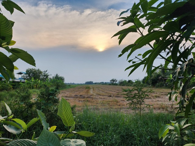 ประกาศฟรี! ซื้อ-ขาย-เช่า คอนโด บ้าน ทาวน์โฮม ที่ดิน และพื้นที่เชิงพาณิชย์ทั่วประเทศไทย ทุกทำเล ทุกงบประมาณ ไม่มีค่าใช้จ่าย ลงง่าย ขายไว เข้าถึงผู้ซื้อโดยตรง 5 287577pic4.jpg