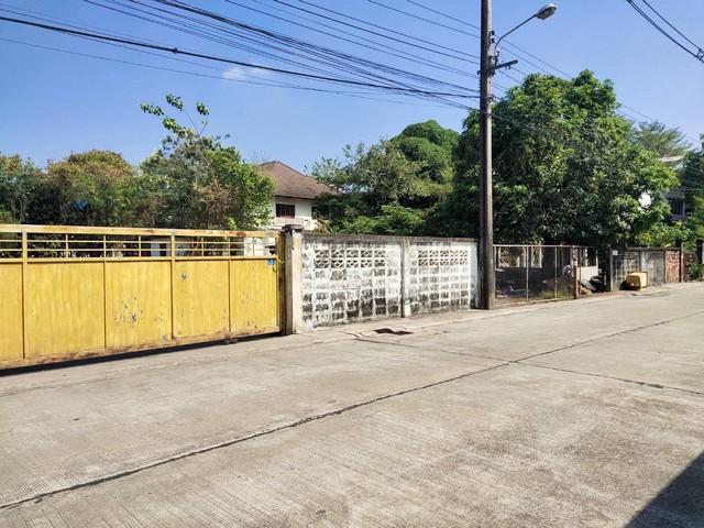 ประกาศฟรี! ซื้อ-ขาย-เช่า คอนโด บ้าน ทาวน์โฮม ที่ดิน และพื้นที่เชิงพาณิชย์ทั่วประเทศไทย ทุกทำเล ทุกงบประมาณ ไม่มีค่าใช้จ่าย ลงง่าย ขายไว เข้าถึงผู้ซื้อโดยตรง 2 489457pic1.jpg