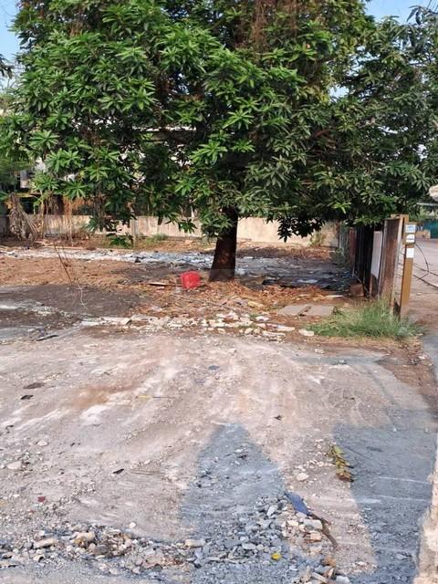 ประกาศฟรี! ซื้อ-ขาย-เช่า คอนโด บ้าน ทาวน์โฮม ที่ดิน และพื้นที่เชิงพาณิชย์ทั่วประเทศไทย ทุกทำเล ทุกงบประมาณ ไม่มีค่าใช้จ่าย ลงง่าย ขายไว เข้าถึงผู้ซื้อโดยตรง 3 489457pic2.jpg