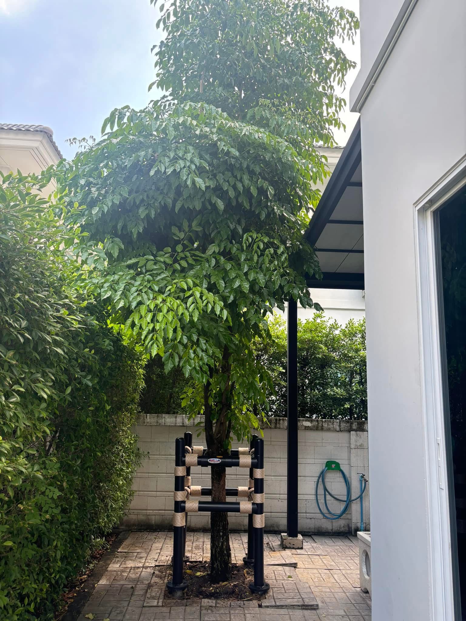 ประกาศฟรี! ซื้อ-ขาย-เช่า คอนโด บ้าน ทาวน์โฮม ที่ดิน และพื้นที่เชิงพาณิชย์ทั่วประเทศไทย ทุกทำเล ทุกงบประมาณ ไม่มีค่าใช้จ่าย ลงง่าย ขายไว เข้าถึงผู้ซื้อโดยตรง 7 5.jpeg