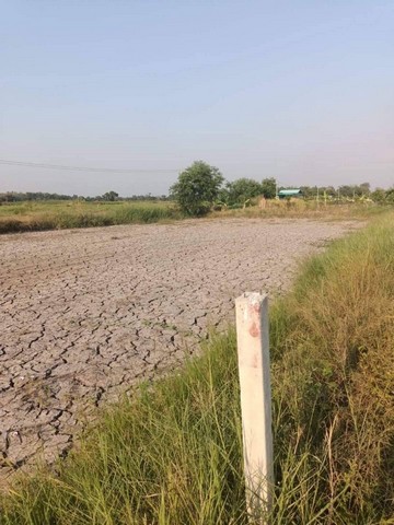 ประกาศฟรี! ซื้อ-ขาย-เช่า คอนโด บ้าน ทาวน์โฮม ที่ดิน และพื้นที่เชิงพาณิชย์ทั่วประเทศไทย ทุกทำเล ทุกงบประมาณ ไม่มีค่าใช้จ่าย ลงง่าย ขายไว เข้าถึงผู้ซื้อโดยตรง 5 272517pic4.jpg