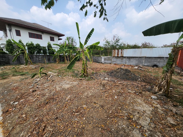 ประกาศฟรี! ซื้อ-ขาย-เช่า คอนโด บ้าน ทาวน์โฮม ที่ดิน และพื้นที่เชิงพาณิชย์ทั่วประเทศไทย ทุกทำเล ทุกงบประมาณ ไม่มีค่าใช้จ่าย ลงง่าย ขายไว เข้าถึงผู้ซื้อโดยตรง 3 201985pic2.jpg