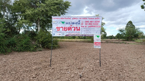 ประกาศฟรี! ซื้อ-ขาย-เช่า คอนโด บ้าน ทาวน์โฮม ที่ดิน และพื้นที่เชิงพาณิชย์ทั่วประเทศไทย ทุกทำเล ทุกงบประมาณ ไม่มีค่าใช้จ่าย ลงง่าย ขายไว เข้าถึงผู้ซื้อโดยตรง 2 469715pic1.jpg