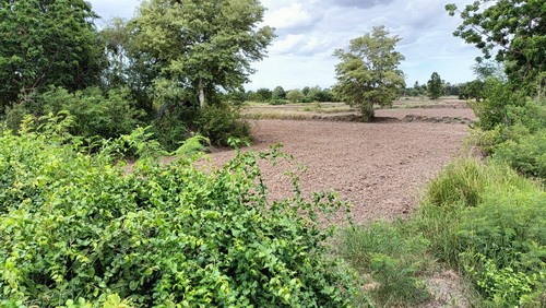 ประกาศฟรี! ซื้อ-ขาย-เช่า คอนโด บ้าน ทาวน์โฮม ที่ดิน และพื้นที่เชิงพาณิชย์ทั่วประเทศไทย ทุกทำเล ทุกงบประมาณ ไม่มีค่าใช้จ่าย ลงง่าย ขายไว เข้าถึงผู้ซื้อโดยตรง 5 469715pic4.jpg