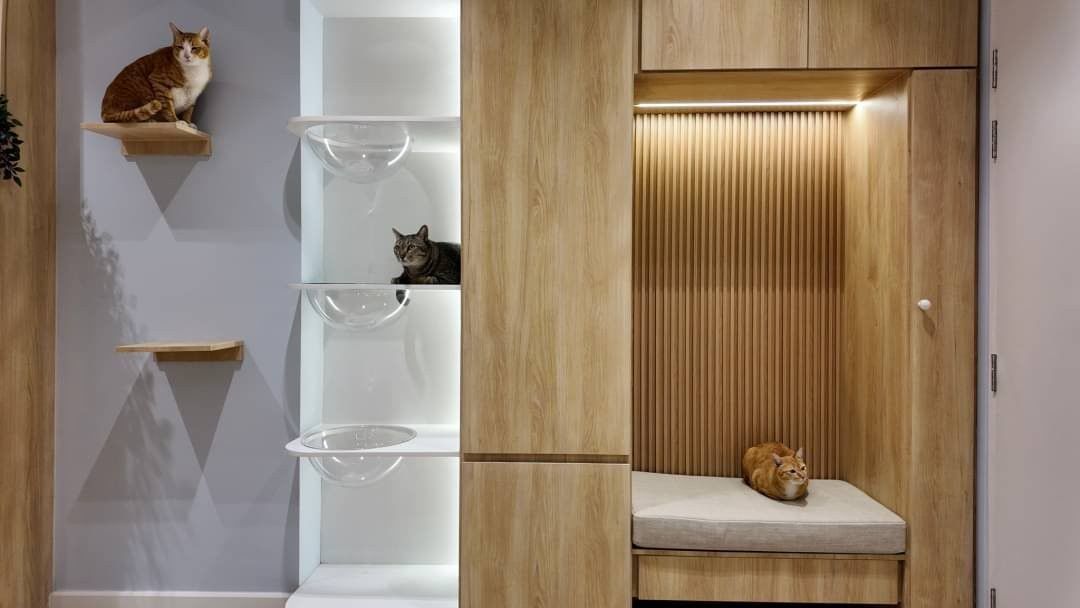 ประกาศฟรี! ซื้อ-ขาย-เช่า คอนโด บ้าน ทาวน์โฮม ที่ดิน และพื้นที่เชิงพาณิชย์ทั่วประเทศไทย ทุกทำเล ทุกงบประมาณ ไม่มีค่าใช้จ่าย ลงง่าย ขายไว เข้าถึงผู้ซื้อโดยตรง 4 203183pic3.jpg