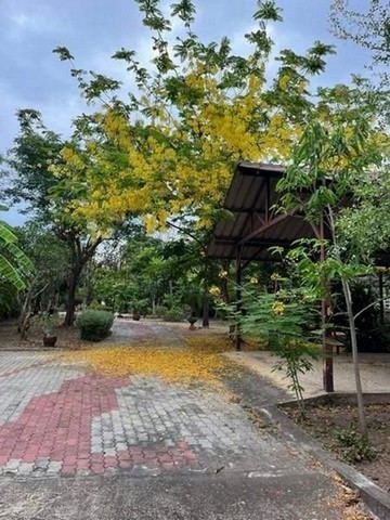 ประกาศฟรี! ซื้อ-ขาย-เช่า คอนโด บ้าน ทาวน์โฮม ที่ดิน และพื้นที่เชิงพาณิชย์ทั่วประเทศไทย ทุกทำเล ทุกงบประมาณ ไม่มีค่าใช้จ่าย ลงง่าย ขายไว เข้าถึงผู้ซื้อโดยตรง 5 492326pic4.jpg