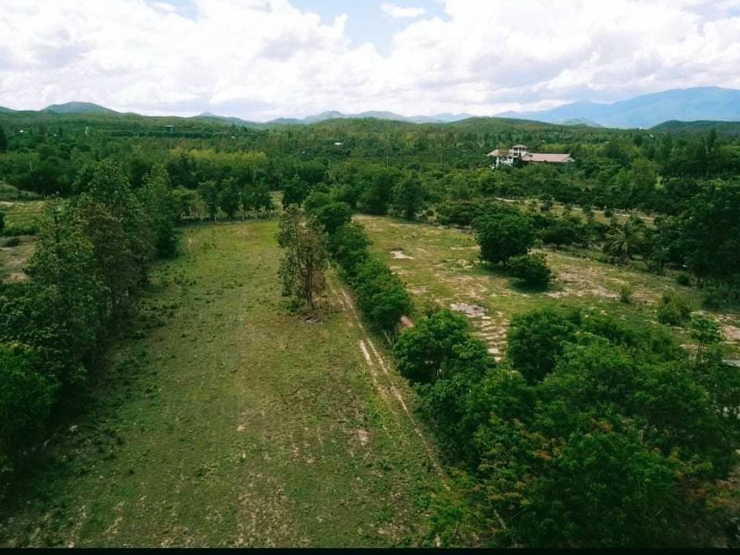 ประกาศฟรี! ซื้อ-ขาย-เช่า คอนโด บ้าน ทาวน์โฮม ที่ดิน และพื้นที่เชิงพาณิชย์ทั่วประเทศไทย ทุกทำเล ทุกงบประมาณ ไม่มีค่าใช้จ่าย ลงง่าย ขายไว เข้าถึงผู้ซื้อโดยตรง 2 203247pic1.jpg