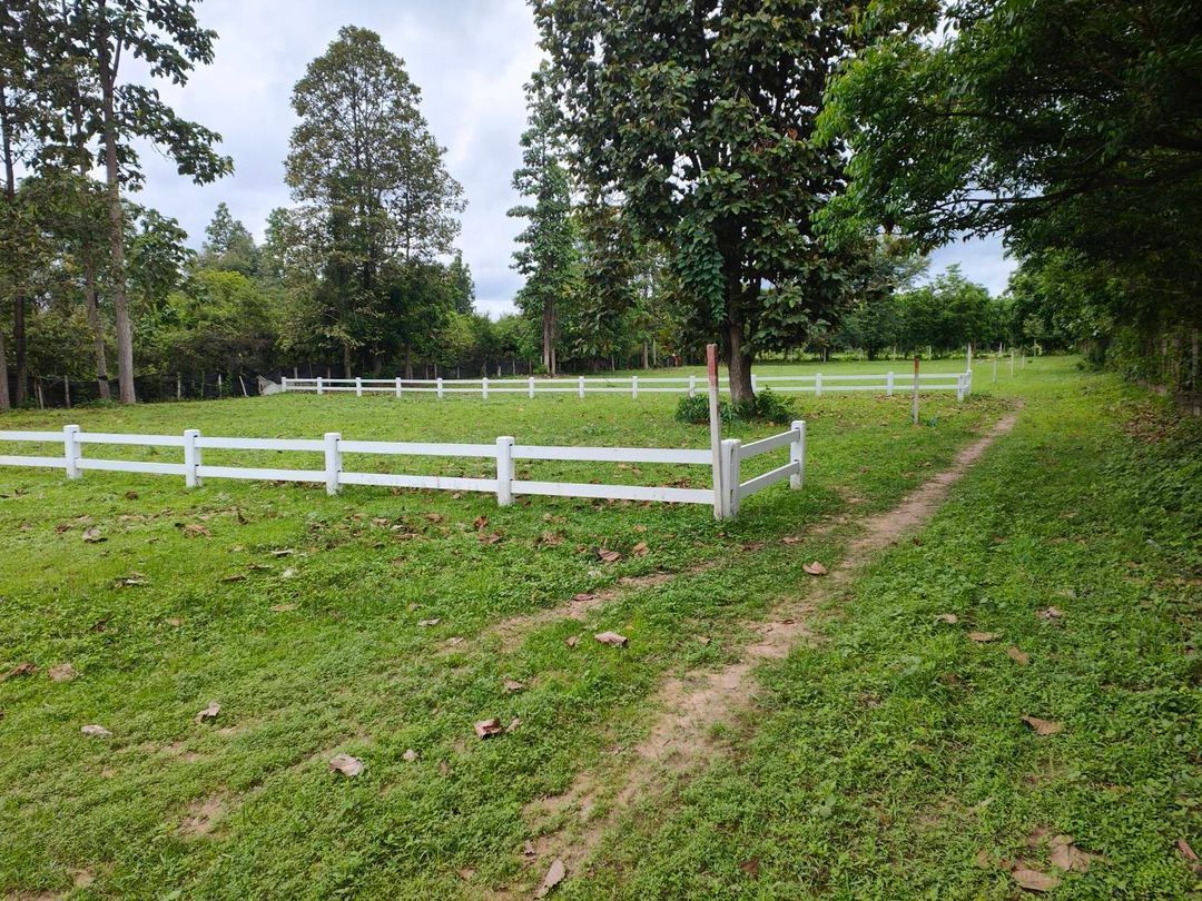 ประกาศฟรี! ซื้อ-ขาย-เช่า คอนโด บ้าน ทาวน์โฮม ที่ดิน และพื้นที่เชิงพาณิชย์ทั่วประเทศไทย ทุกทำเล ทุกงบประมาณ ไม่มีค่าใช้จ่าย ลงง่าย ขายไว เข้าถึงผู้ซื้อโดยตรง 5 203247pic4.jpg