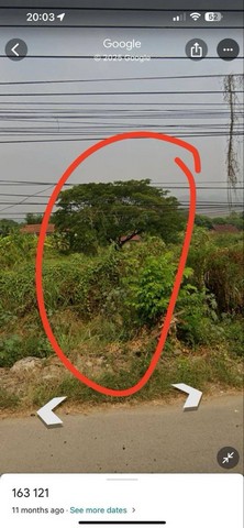 ประกาศฟรี! ซื้อ-ขาย-เช่า คอนโด บ้าน ทาวน์โฮม ที่ดิน และพื้นที่เชิงพาณิชย์ทั่วประเทศไทย ทุกทำเล ทุกงบประมาณ ไม่มีค่าใช้จ่าย ลงง่าย ขายไว เข้าถึงผู้ซื้อโดยตรง 3 203311pic2.jpg