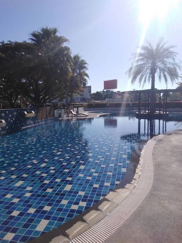 ประกาศฟรี! ซื้อ-ขาย-เช่า คอนโด บ้าน ทาวน์โฮม ที่ดิน และพื้นที่เชิงพาณิชย์ทั่วประเทศไทย ทุกทำเล ทุกงบประมาณ ไม่มีค่าใช้จ่าย ลงง่าย ขายไว เข้าถึงผู้ซื้อโดยตรง 2 203307pic1.jpg