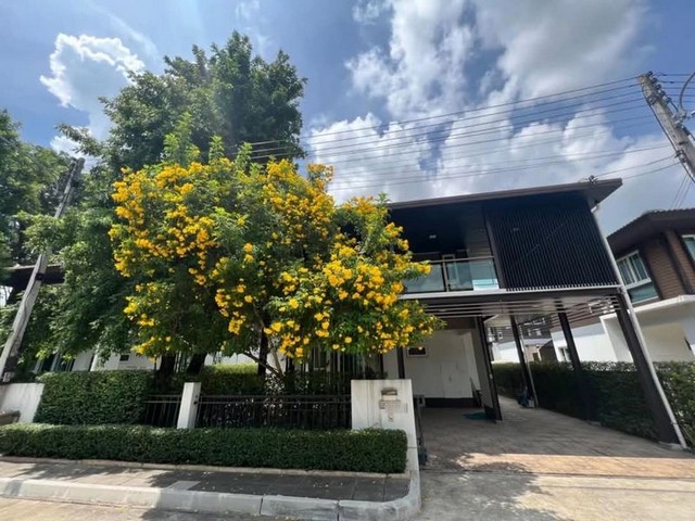 ประกาศฟรี! ซื้อ-ขาย-เช่า คอนโด บ้าน ทาวน์โฮม ที่ดิน และพื้นที่เชิงพาณิชย์ทั่วประเทศไทย ทุกทำเล ทุกงบประมาณ ไม่มีค่าใช้จ่าย ลงง่าย ขายไว เข้าถึงผู้ซื้อโดยตรง 2 203303pic1.jpg