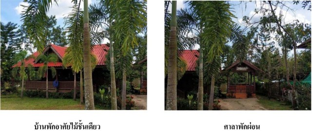 ประกาศฟรี! ซื้อ-ขาย-เช่า คอนโด บ้าน ทาวน์โฮม ที่ดิน และพื้นที่เชิงพาณิชย์ทั่วประเทศไทย ทุกทำเล ทุกงบประมาณ ไม่มีค่าใช้จ่าย ลงง่าย ขายไว เข้าถึงผู้ซื้อโดยตรง 4 201054pic3.jpg