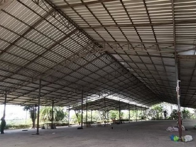 ประกาศฟรี! ซื้อ-ขาย-เช่า คอนโด บ้าน ทาวน์โฮม ที่ดิน และพื้นที่เชิงพาณิชย์ทั่วประเทศไทย ทุกทำเล ทุกงบประมาณ ไม่มีค่าใช้จ่าย ลงง่าย ขายไว เข้าถึงผู้ซื้อโดยตรง 4 201050pic3.jpg