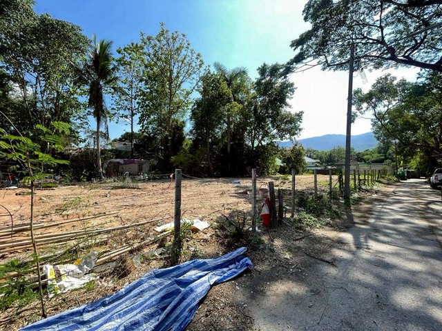 ประกาศฟรี! ซื้อ-ขาย-เช่า คอนโด บ้าน ทาวน์โฮม ที่ดิน และพื้นที่เชิงพาณิชย์ทั่วประเทศไทย ทุกทำเล ทุกงบประมาณ ไม่มีค่าใช้จ่าย ลงง่าย ขายไว เข้าถึงผู้ซื้อโดยตรง 3 203867pic2.jpg