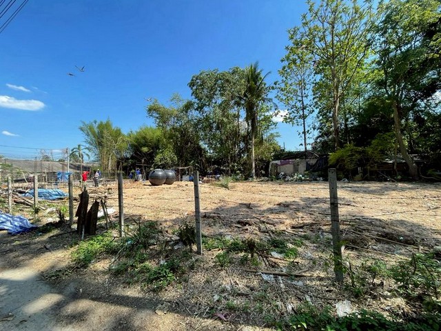 ประกาศฟรี! ซื้อ-ขาย-เช่า คอนโด บ้าน ทาวน์โฮม ที่ดิน และพื้นที่เชิงพาณิชย์ทั่วประเทศไทย ทุกทำเล ทุกงบประมาณ ไม่มีค่าใช้จ่าย ลงง่าย ขายไว เข้าถึงผู้ซื้อโดยตรง 4 203867pic3.jpg