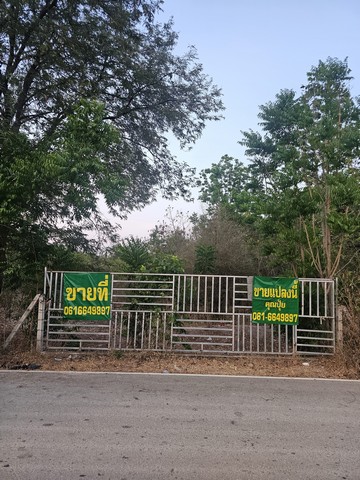 ประกาศฟรี! ซื้อ-ขาย-เช่า คอนโด บ้าน ทาวน์โฮม ที่ดิน และพื้นที่เชิงพาณิชย์ทั่วประเทศไทย ทุกทำเล ทุกงบประมาณ ไม่มีค่าใช้จ่าย ลงง่าย ขายไว เข้าถึงผู้ซื้อโดยตรง 2 292242pic1.jpg