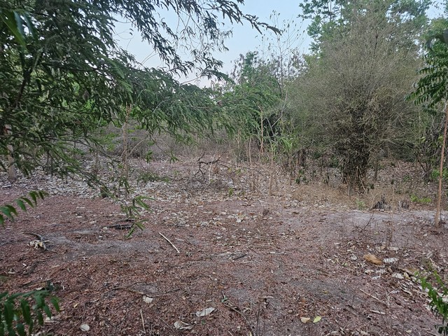 ประกาศฟรี! ซื้อ-ขาย-เช่า คอนโด บ้าน ทาวน์โฮม ที่ดิน และพื้นที่เชิงพาณิชย์ทั่วประเทศไทย ทุกทำเล ทุกงบประมาณ ไม่มีค่าใช้จ่าย ลงง่าย ขายไว เข้าถึงผู้ซื้อโดยตรง 5 292242pic4.jpg