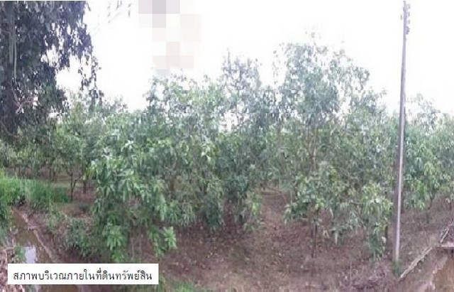 ประกาศฟรี! ซื้อ-ขาย-เช่า คอนโด บ้าน ทาวน์โฮม ที่ดิน และพื้นที่เชิงพาณิชย์ทั่วประเทศไทย ทุกทำเล ทุกงบประมาณ ไม่มีค่าใช้จ่าย ลงง่าย ขายไว เข้าถึงผู้ซื้อโดยตรง 5 201809pic4.jpg