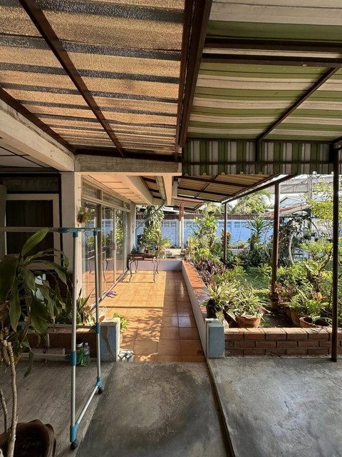 ประกาศฟรี! ซื้อ-ขาย-เช่า คอนโด บ้าน ทาวน์โฮม ที่ดิน และพื้นที่เชิงพาณิชย์ทั่วประเทศไทย ทุกทำเล ทุกงบประมาณ ไม่มีค่าใช้จ่าย ลงง่าย ขายไว เข้าถึงผู้ซื้อโดยตรง 4 492623pic3.jpg