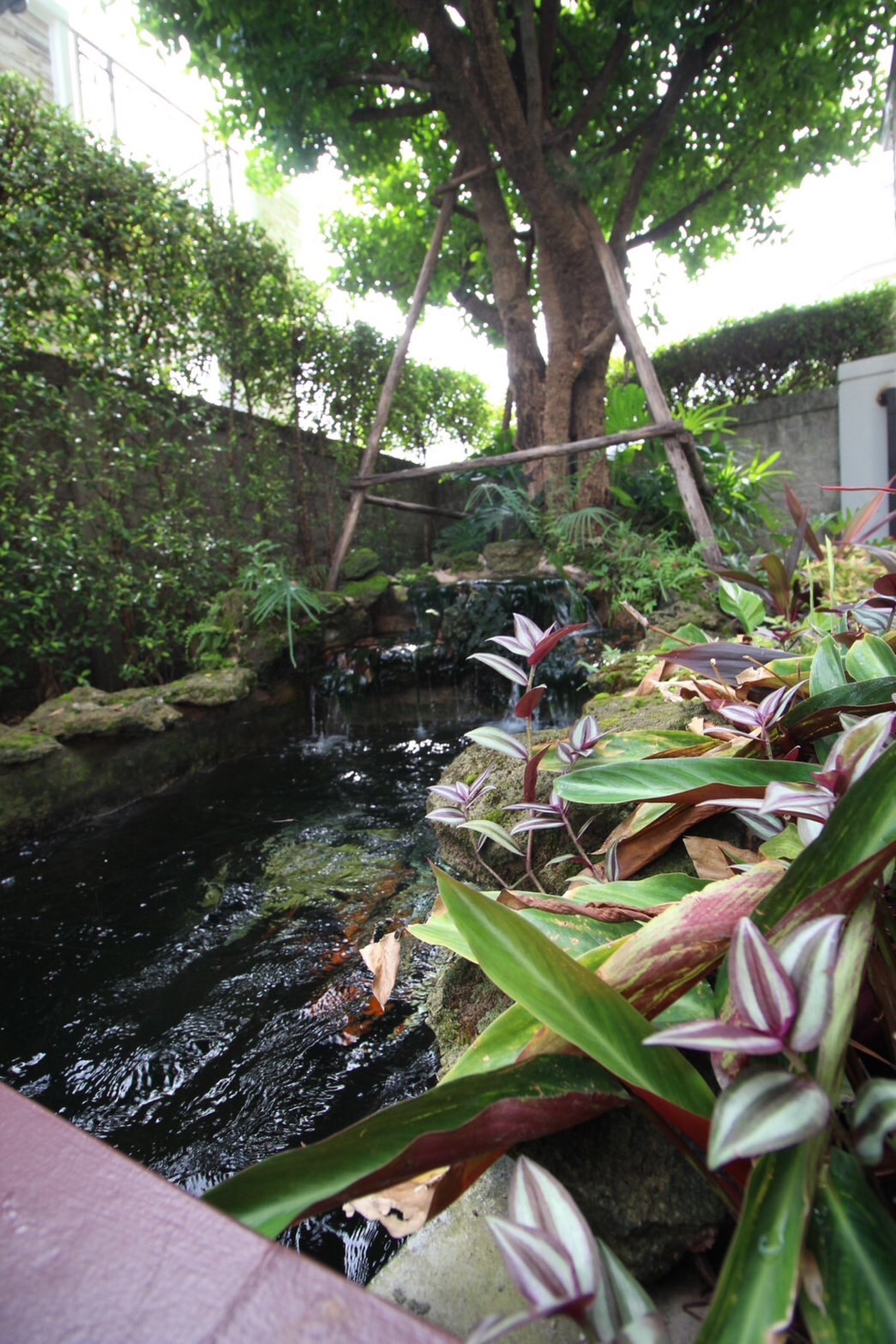 ประกาศฟรี! ซื้อ-ขาย-เช่า คอนโด บ้าน ทาวน์โฮม ที่ดิน และพื้นที่เชิงพาณิชย์ทั่วประเทศไทย ทุกทำเล ทุกงบประมาณ ไม่มีค่าใช้จ่าย ลงง่าย ขายไว เข้าถึงผู้ซื้อโดยตรง 4 201733pic3.jpg