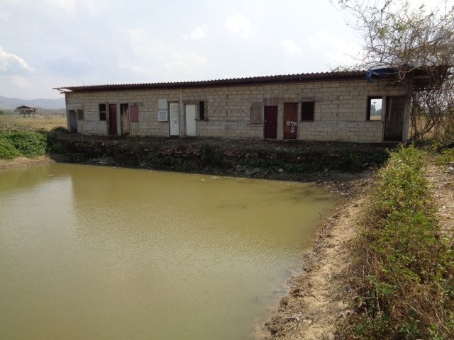 ประกาศฟรี! ซื้อ-ขาย-เช่า คอนโด บ้าน ทาวน์โฮม ที่ดิน และพื้นที่เชิงพาณิชย์ทั่วประเทศไทย ทุกทำเล ทุกงบประมาณ ไม่มีค่าใช้จ่าย ลงง่าย ขายไว เข้าถึงผู้ซื้อโดยตรง 5 201812pic4.jpg