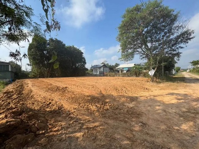 ประกาศฟรี! ซื้อ-ขาย-เช่า คอนโด บ้าน ทาวน์โฮม ที่ดิน และพื้นที่เชิงพาณิชย์ทั่วประเทศไทย ทุกทำเล ทุกงบประมาณ ไม่มีค่าใช้จ่าย ลงง่าย ขายไว เข้าถึงผู้ซื้อโดยตรง 2 204101pic1.jpg