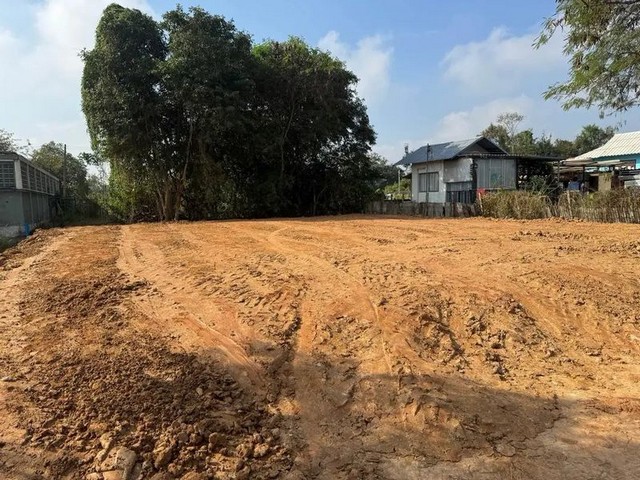 ประกาศฟรี! ซื้อ-ขาย-เช่า คอนโด บ้าน ทาวน์โฮม ที่ดิน และพื้นที่เชิงพาณิชย์ทั่วประเทศไทย ทุกทำเล ทุกงบประมาณ ไม่มีค่าใช้จ่าย ลงง่าย ขายไว เข้าถึงผู้ซื้อโดยตรง 5 204101pic4.jpg