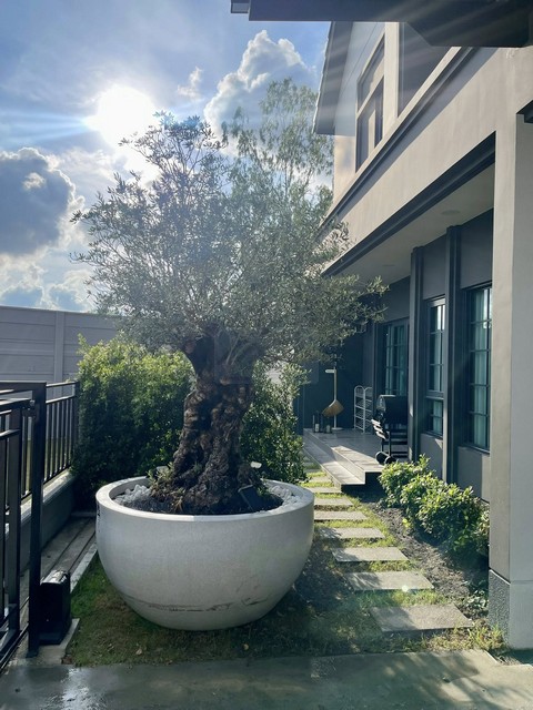 ประกาศฟรี! ซื้อ-ขาย-เช่า คอนโด บ้าน ทาวน์โฮม ที่ดิน และพื้นที่เชิงพาณิชย์ทั่วประเทศไทย ทุกทำเล ทุกงบประมาณ ไม่มีค่าใช้จ่าย ลงง่าย ขายไว เข้าถึงผู้ซื้อโดยตรง 3 492880pic2.jpg