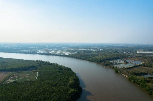 ประกาศฟรี! ซื้อ-ขาย-เช่า คอนโด บ้าน ทาวน์โฮม ที่ดิน และพื้นที่เชิงพาณิชย์ทั่วประเทศไทย ทุกทำเล ทุกงบประมาณ ไม่มีค่าใช้จ่าย ลงง่าย ขายไว เข้าถึงผู้ซื้อโดยตรง 2 137954pic1.jpg