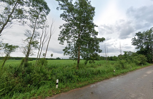 ประกาศฟรี! ซื้อ-ขาย-เช่า คอนโด บ้าน ทาวน์โฮม ที่ดิน และพื้นที่เชิงพาณิชย์ทั่วประเทศไทย ทุกทำเล ทุกงบประมาณ ไม่มีค่าใช้จ่าย ลงง่าย ขายไว เข้าถึงผู้ซื้อโดยตรง 2 137953pic1.jpg