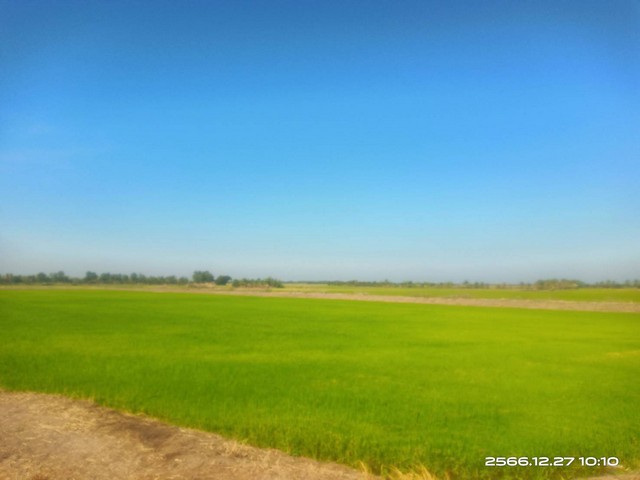 ประกาศฟรี! ซื้อ-ขาย-เช่า คอนโด บ้าน ทาวน์โฮม ที่ดิน และพื้นที่เชิงพาณิชย์ทั่วประเทศไทย ทุกทำเล ทุกงบประมาณ ไม่มีค่าใช้จ่าย ลงง่าย ขายไว เข้าถึงผู้ซื้อโดยตรง 3 132683pic2.jpg