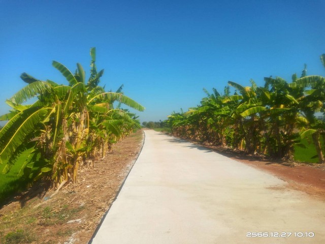 ประกาศฟรี! ซื้อ-ขาย-เช่า คอนโด บ้าน ทาวน์โฮม ที่ดิน และพื้นที่เชิงพาณิชย์ทั่วประเทศไทย ทุกทำเล ทุกงบประมาณ ไม่มีค่าใช้จ่าย ลงง่าย ขายไว เข้าถึงผู้ซื้อโดยตรง 4 132683pic3.jpg